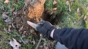 Minelab Manticore vs CTX 3030 The Showdown - Real Digs