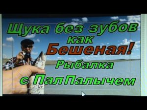 ЩУКА без ЗУБОВ! Клюёт как Бешеная!