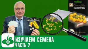 111. Изучаем семена ч. 2