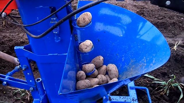 Посадка картофеля мотоблоком (часть 3) Картофелесажалка