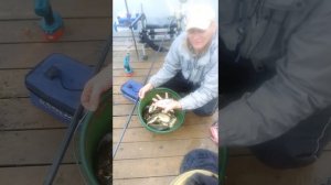 Рыбалка в Раково 2015