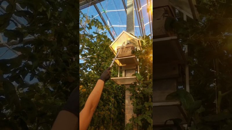 Лайфхак по открытию/закрытию летка, если улей на большой высоте