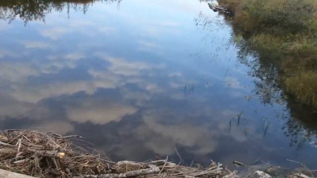 Мост через р. Озерница в Кировской области (слободской район)