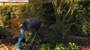 Brighten Your Garden With Alan Titchmarsh's Festive Border | Waitrose