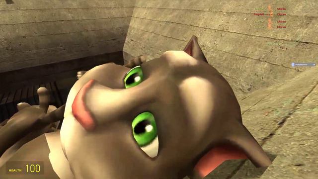 Talking Pets vs Demon Pets | Talking Tom vs Juan Talking Angela vs Maria Talking Ben vs Pablo смотреть онлайн