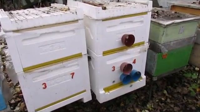ответы на вопросы - когда я начинаю убирать пчел в зимовник и почему смотреть онлайн