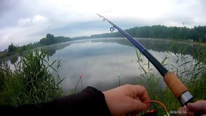 Рыбалка в июне с фидером (метод флэт). Подлещик, плотва
