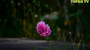 40 МИНГ ИСТИГФОР САМАРАСИ АЛБАТТА ЭШИТИНГ