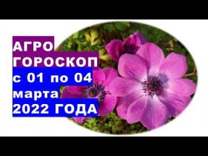 Агрогороскоп с 01 по 04 марта 2022 года