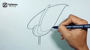 How to draw Anthurium Flower