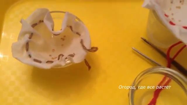 Сажаю рассаду по-новому. Не так, как всегда.mp4 смотреть онлайн