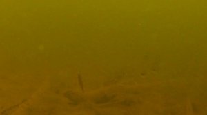 ЛОВЛЯ ЩУКИ НА ЖИВЦА с подводными камерами!!! Рыбалка с берега перед ледоставом. АТАКИ ЩУКИ!!!