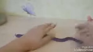 Тестируем змею-лизуна.