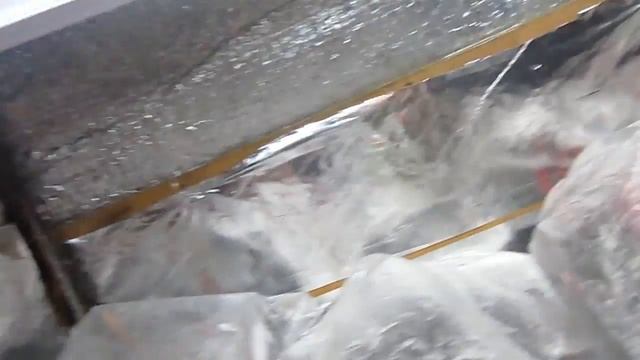 Минитеплица для рассады за 1,5 часа дома с подсветкой