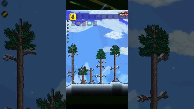 Все питомцы в Каламити моде. #terraria #shorts