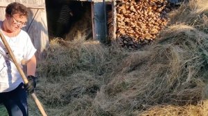 Украинское село🌻 мы не только пьем гуляем 🌻зятя бережем