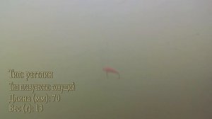 Воблер Mottomo Sailor 70S