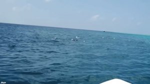 Шикарная песня! Я ПОСТРОЮ РАЙ - СЕРГЕЙ НОСКО New 2019