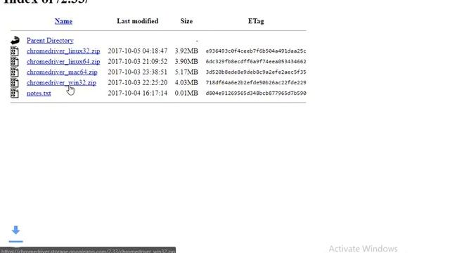 how to install chromedriver for selenium in windows | Python Programming Language смотреть онлайн