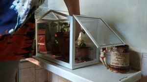 Выращиваем герань. Черенкование и уход. Ландшафтный дизайн с геранью.