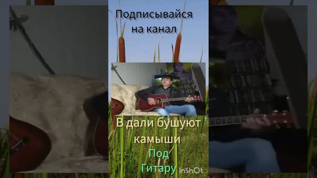 В дали бушуют камыши