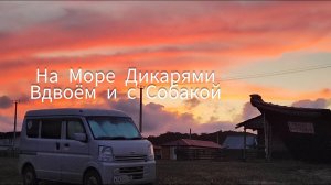 На море в сентябре Дикарями, Вдвоем и с Собакой.  Отдых в палатке, рецепт роллов с малосольной рыбой