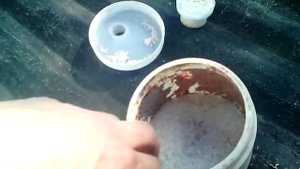 Озимый чеснок  2017.Межжилковый хлороз.Сульфат магния(сернокислый магний).