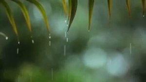 Расслабляющая фортепианная музыка Музыка для сна Звуки воды Звуки дождя Расслабляющая музыка Музыка