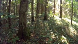 Поход за грибами  в Рассудово 27 августа 2016 года