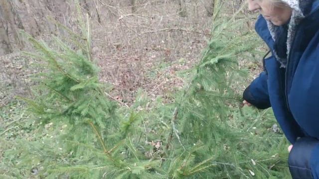 Улицы Чернобыля смотреть онлайн