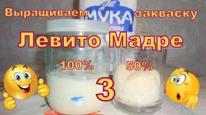 Закваска на винограде Левито Мадре. Часть 3. Мой эксперимент))