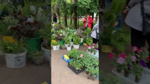 20.05.23 Воронеж, Ул Хользунова, Птичий рынок в субботу.