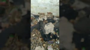 Егор Летов - красный смех шагает по стране