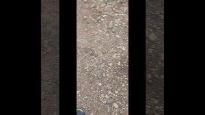 газель каменс ремонт замена вакуумного насоса.