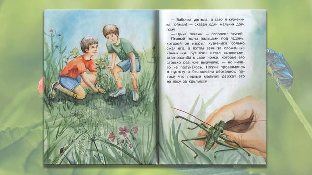 МБУ "Библиотека" Обзор книг «Почемучкины книжки» смотреть онлайн