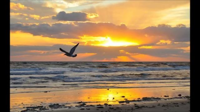 КРАЙОН -ЧЕЛОВЕЧЕСКАЯ ДУША - Будущее Души — 6-й ченнелинг смотреть онлайн