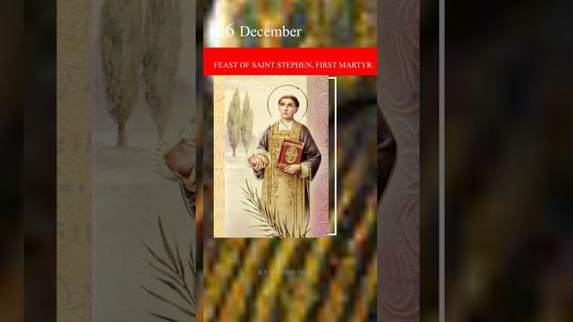 St. Stephen the first martyr #media #christmas #catholicsaint