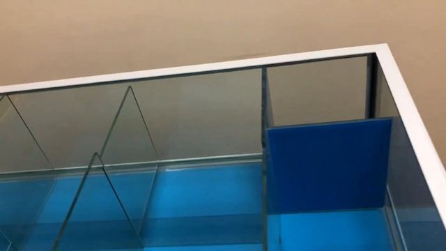 Аквариум для живых морепродуктов краба устриц ежа гребешка в ресторан магазин