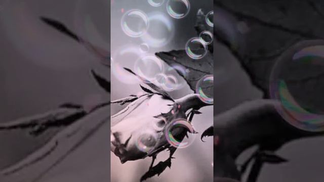 Короновирус обязательно кончится/ На канале Татьяна Степанова смотреть онлайн