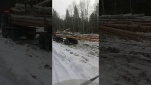 Погрузка лесовозов в деляне