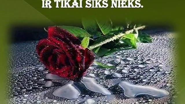 Novēlējumi dzejā смотреть онлайн