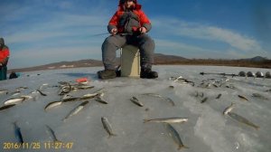 Зимняя рыбалка. Корюшка малоротка на махалки.