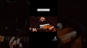 Песняры   зачарованная моя