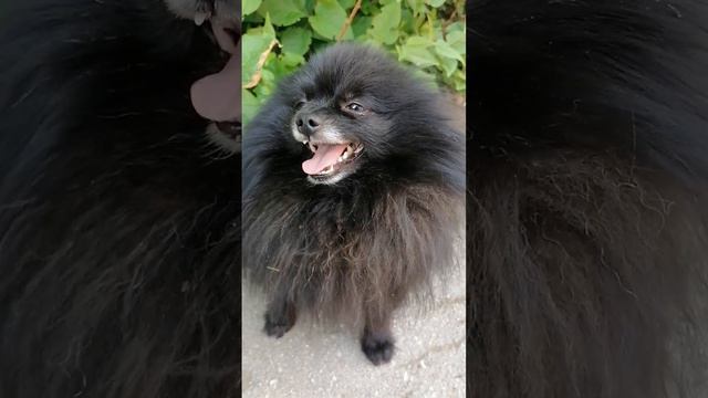 Привет, Всем Любви и Счастья! смотреть онлайн