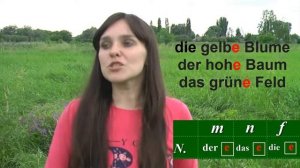 Слабое склонение прилагательных. Видеоуроки немецкого. Немецкий язык.