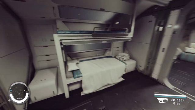 Starfield - Capybara redesigned as Class B