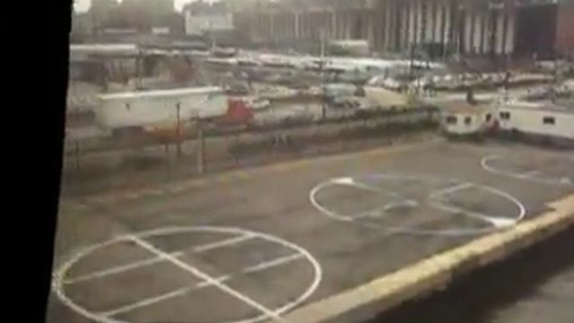 Fly on the NY смотреть онлайн