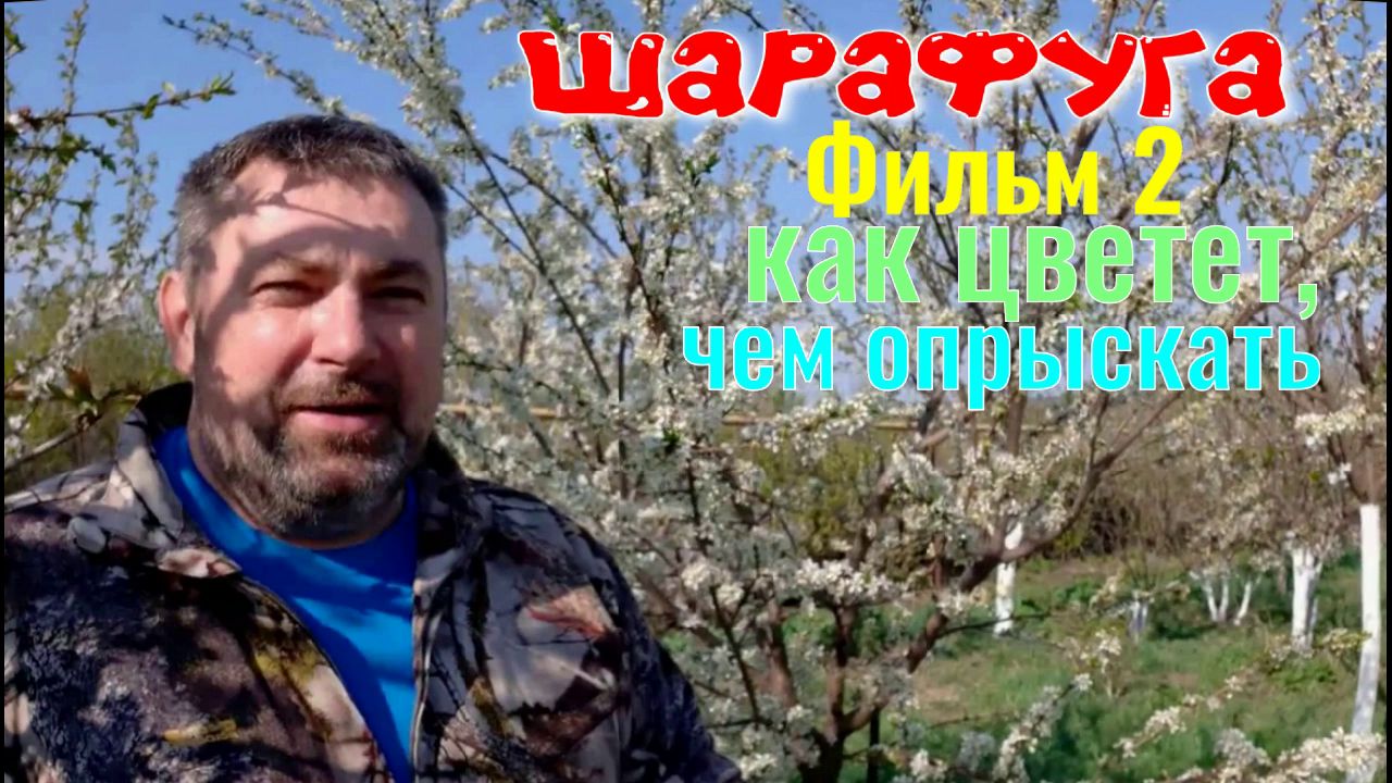 Шарафуга Фильм 2. Как Цветет, чем Опрыскивать. Секреты Садовода.