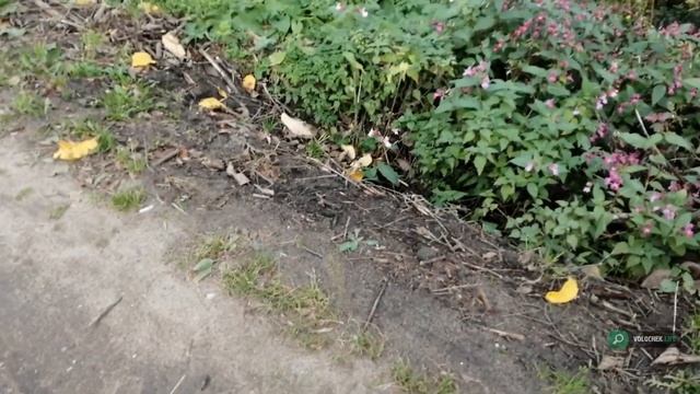 На Ленинградском шоссе в Вышнем Волочке отремонтируют опасную для пешеходов и велосипедистов обочин смотреть онлайн