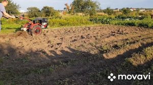 Выкапыватель картофеля самодельный!!!